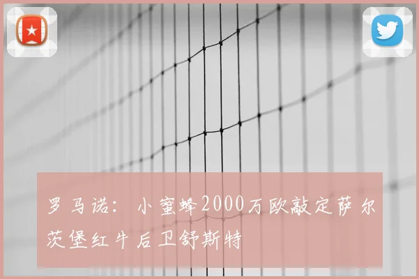 罗马诺：小蜜蜂2000万欧敲定萨尔茨堡红牛后卫舒斯特